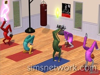 The Sims 2