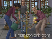 The Sims 2